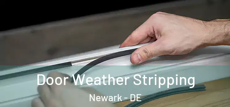 Door Weather Stripping Newark - DE