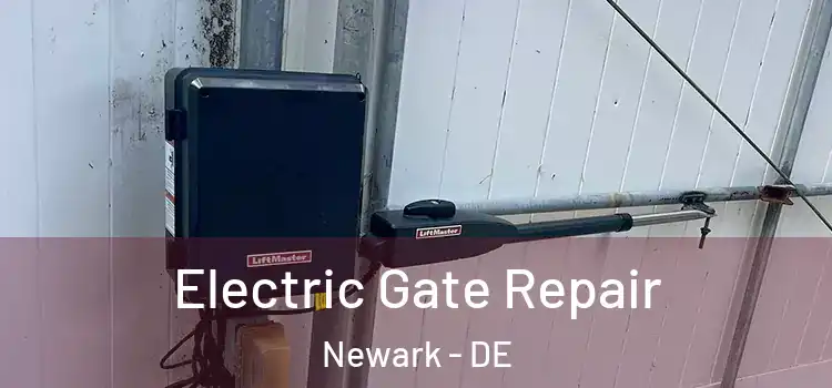  Electric Gate Repair Newark - DE