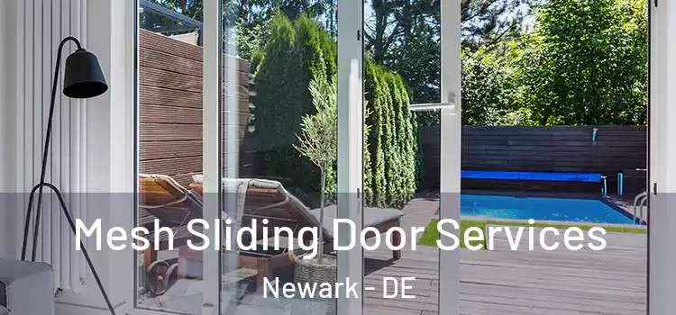 Mesh Sliding Door Services Newark - DE
