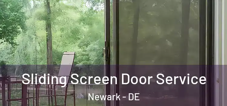 Sliding Screen Door Service Newark - DE